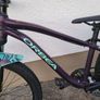 Orbea MX24 bike Image 3