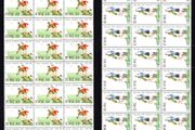 1984 Ireland Centenary of the GAA (Gaelic Athletic Association) Commemorative Stamps Bock of 24 Mint Never Hinged (MNH)