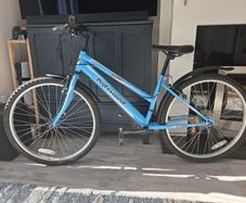 Everest professional bike