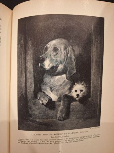 SALE!  THE OUTLINE OF ART edited by Sir William Orpen revised by Horace Shipp