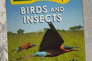 Ladybird- Birds &amp; Insects