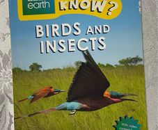 Ladybird- Birds & Insects