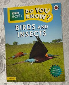 Ladybird- Birds & Insects