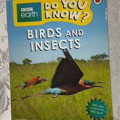 Ladybird- Birds & Insects