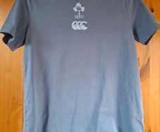 Kids IRFU Blue TShirt