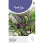 Seeds to Sow in July - August Image 7