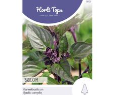 HT Cinnamon Basil Seeds 1.5g | Sow May - July