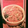 1985. The Quinnsworth Book Of Casseroles. Image 6