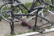 bike frames
