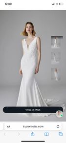 Pronovias Wedding Dress