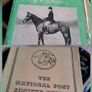 Horse riding Image 3