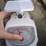 food scale Image 3