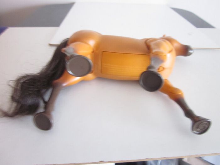 Ride Together Lucky & Spirit Walking Horse