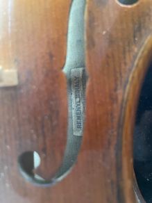 Violin