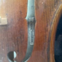Violin