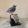 Hand-Carved Blue Tit on Raw Amethyst Cluster Base Image 6