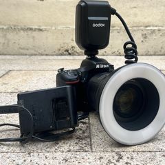 Nikon D750 + Nikkor 105mm 2.8 + Ringflash Bundle