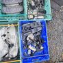 Clearance ! Honda Civic Ek 97-01 Parts 1.4 1.6 @ OCG Image 2