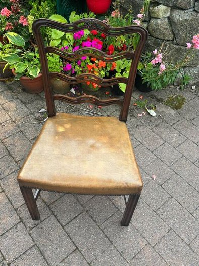 Dining Chairs