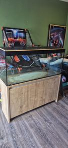 4ft Reptile tank