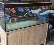 4ft reptile tank