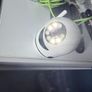 Security Camera Image 4
