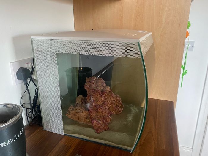 fish tank salt water 60 litre