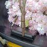 pink blossom branches x20 Image 2
