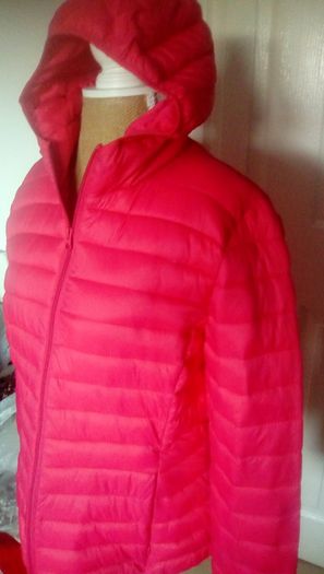 Pink Jacket