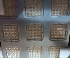 led growing light budmaster 2 675W