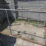 Dog Run Image 2