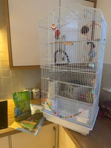 Free budgie cage and some supplies