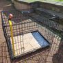 dog container Image 4