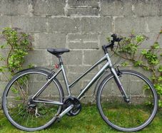 Ladies Trek bike