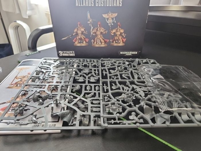 Warhammer 40k Allarus Custodians For Sale in Blackrock, Dublin from alex227