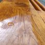 bench Image 2