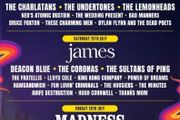 Forest Fest weekend upgrade ticket