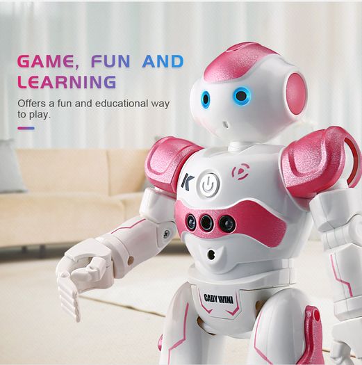 Gesture Control Intelligent Cady Robot