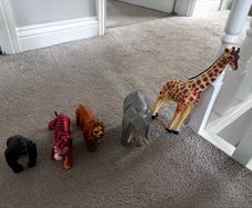 toy
