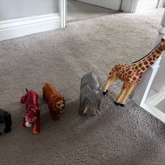 toy