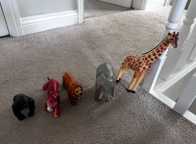 toy