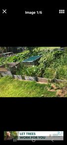 Raised beds / Garden boxes
