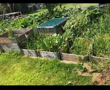 Raised beds / Garden boxes
