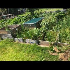 Raised beds / Garden boxes