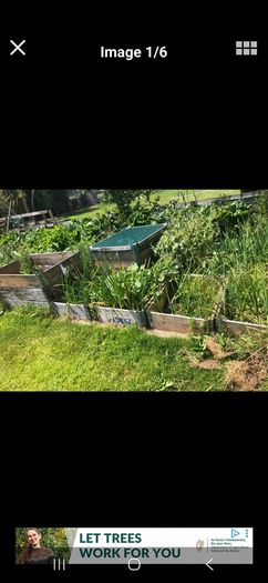 Raised beds / Garden boxes
