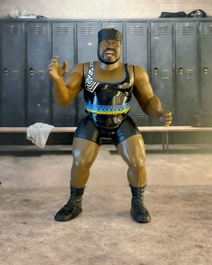 Jakks WWF Wrestling figures WWE ECW BCA