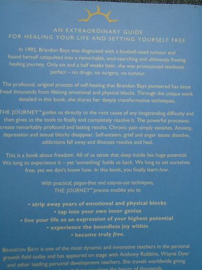 The Journey, Brandon Bays, Paperback book, Health and healing