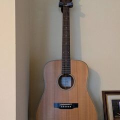 Takemine acoustic guitar