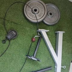 Pulldown with Weights