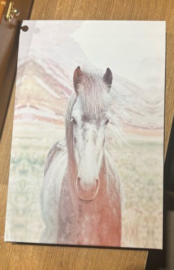 Horse Stuff